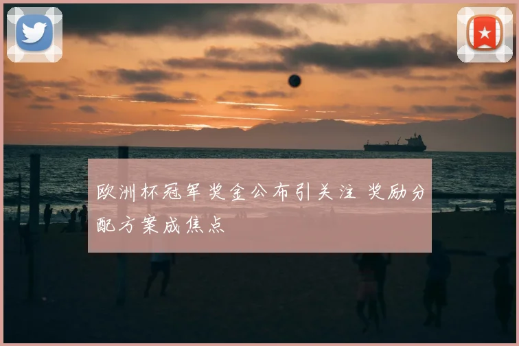 欧洲杯冠军奖金公布引关注 奖励分配方案成焦点