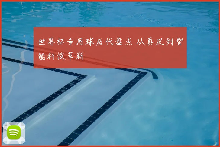 世界杯专用球历代盘点 从真皮到智能科技革新