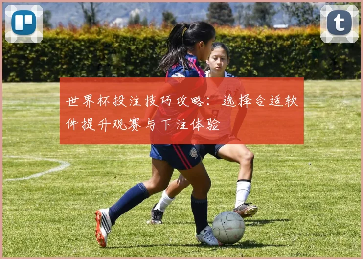 世界杯投注技巧攻略:选择合适软件提升观赛与下注体验
