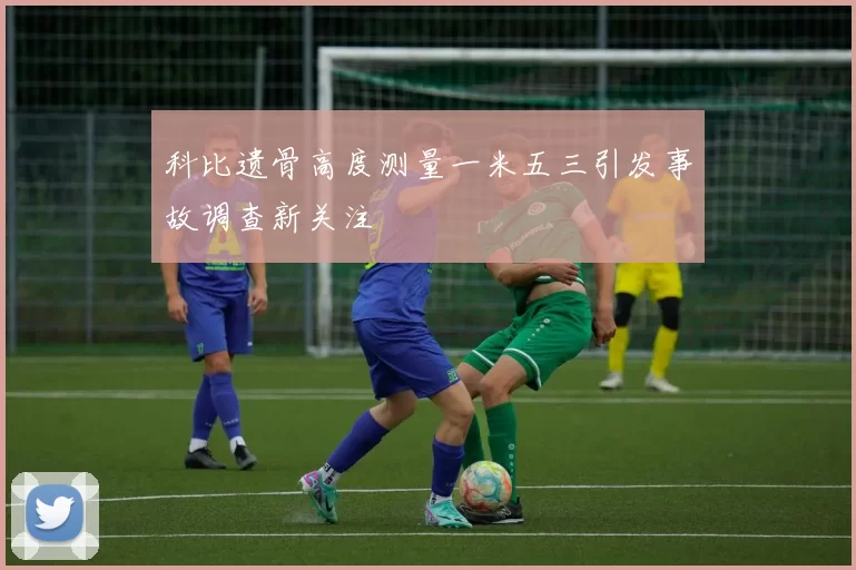 科比遗骨高度测量一米五三引发事故调查新关注