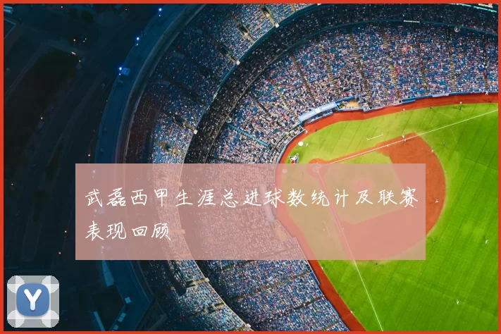 武磊西甲生涯总进球数统计及联赛表现回顾