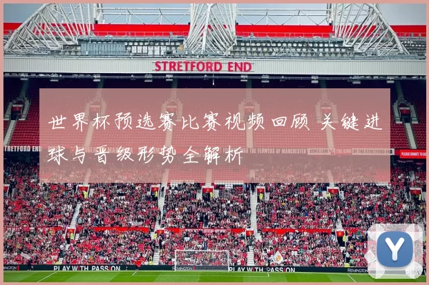 世界杯预选赛比赛视频回顾 关键进球与晋级形势全解析