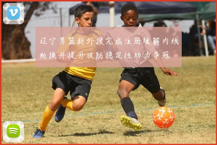 辽宁男篮新外援完成注册缓解内线轮换并提升攻防稳定性助力争冠